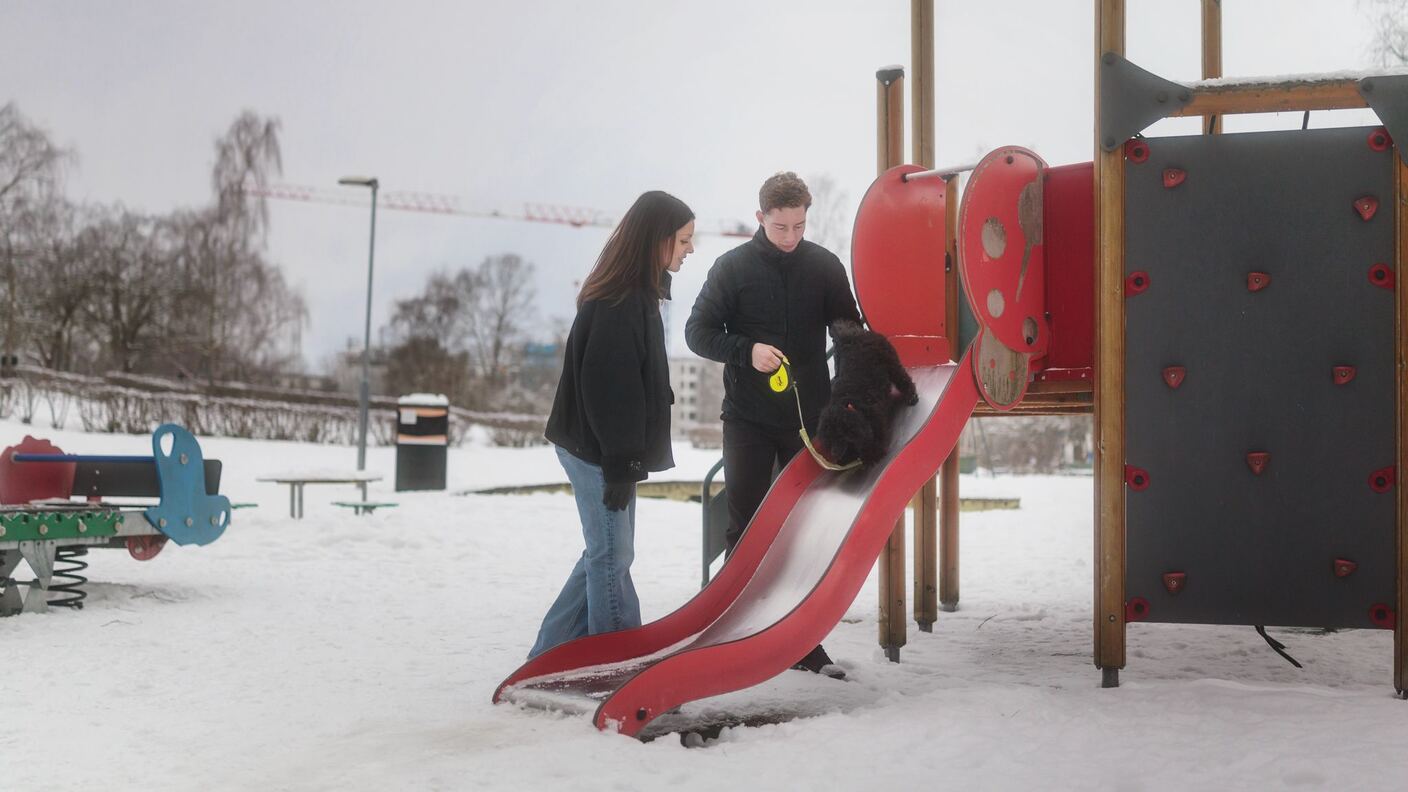 Erik and Gloria watching Nelson, their miniature poodle, go down a snowy playground slide